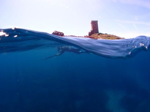 Chasse sous marine Esterel