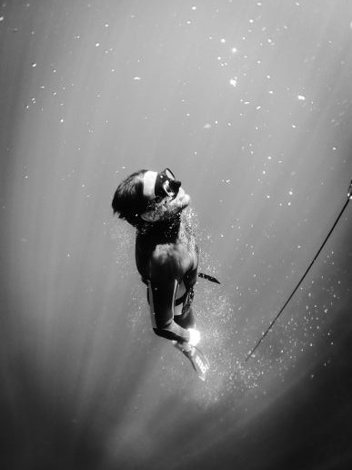 Retour à la surface